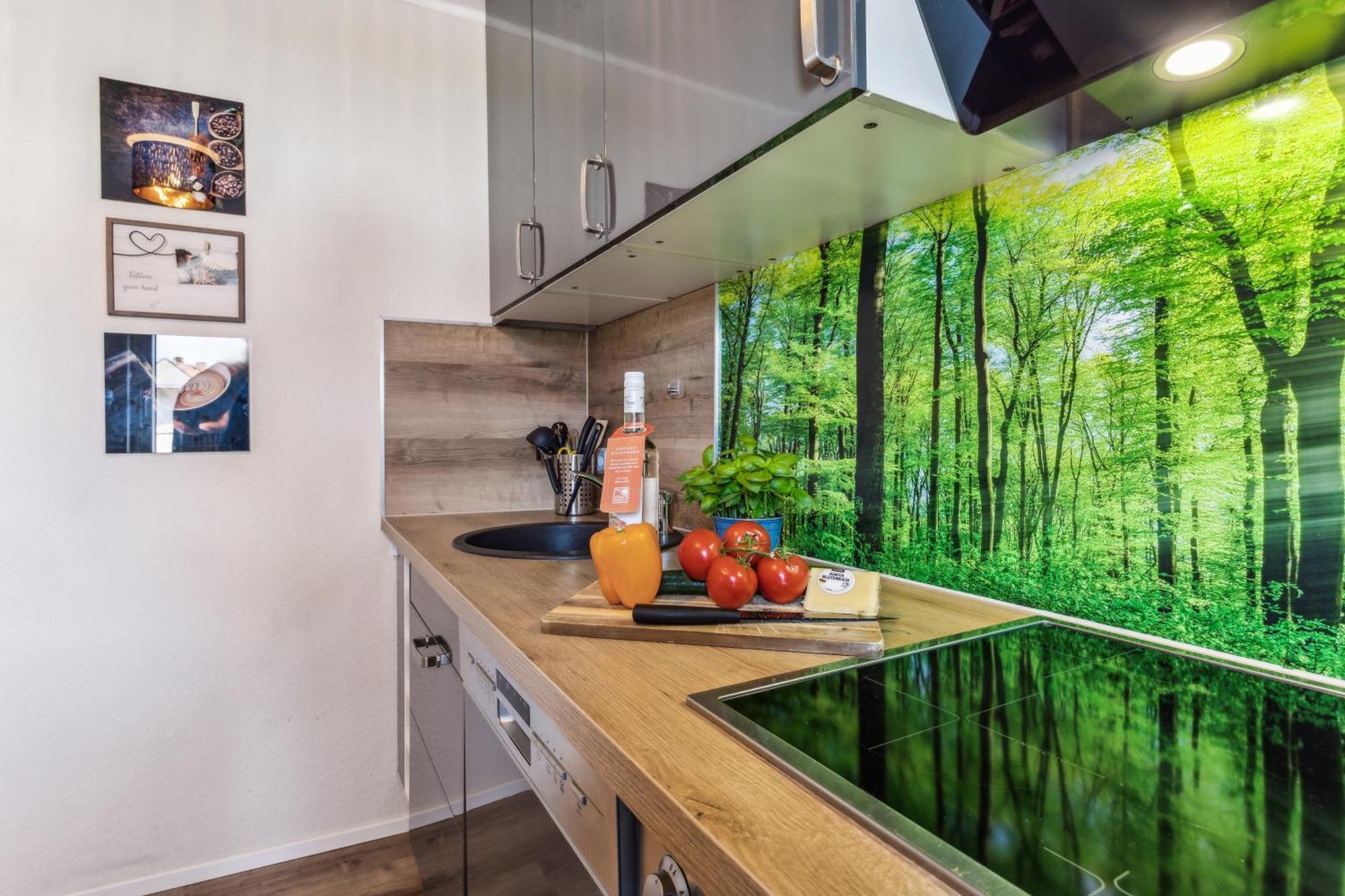 Apartment Edelharz Center Thale - Grill & Garden Εξωτερικό φωτογραφία
